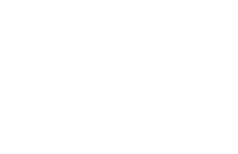 Massive Miniteam